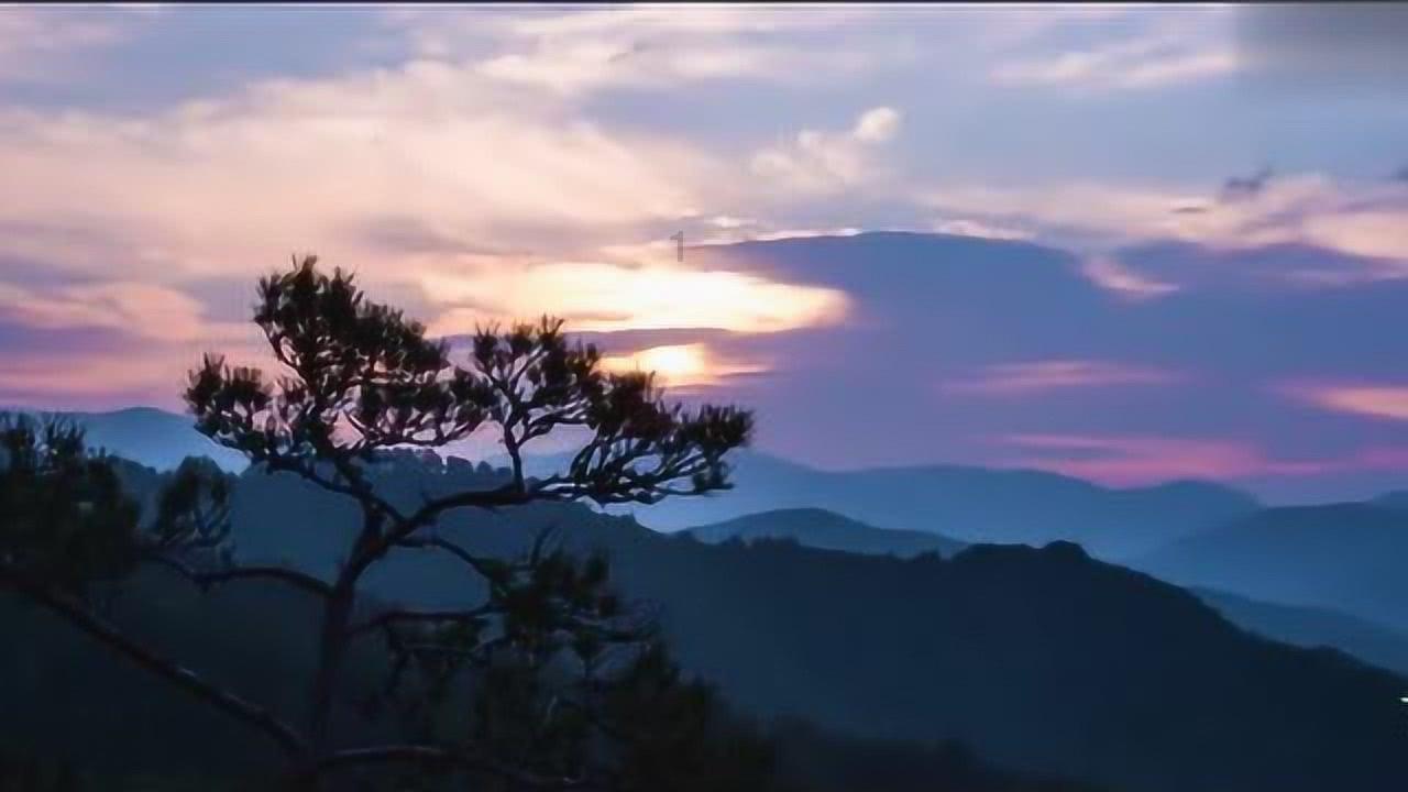 小长颈鹿逃离
