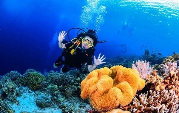 寻找遗失的光盘